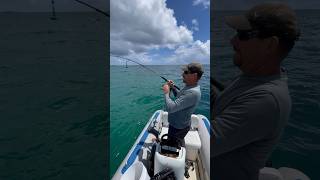 Big tarpon dans le lagon 😮🔥🔥 #fisherman #fishingvideo #pêche #guadeloupe #tarpon #tarponfishing