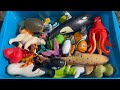 Muddy Sea Animal Toys - Cleaning and Learning Fun for Kids