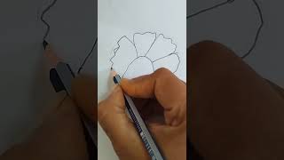 How to draw Hibiscus flower🌺 Hibiscus flower pencil drawing