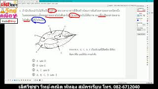 SciP601 โจทย์วิทย์ ป.6 สสวท. การสังเคราะห์ด้วยแสงของพืช