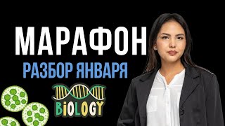 Марафон: Разбор январского ЕНТ