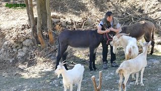 AGROISTRA Najuzornije istarske seoske žene