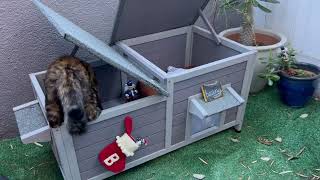 Aivituvin AIR93 Feral Cat Shelter  Two Room Outdoor Cat House for Rescued Cats