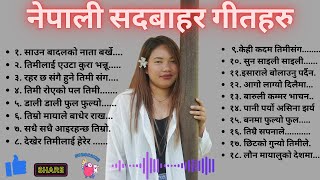 नेपाली सदाबाहर गीतहरु | Best Nepali Traveling Song 2025 | #nepaliromanticsongs #nepalisong #newsong