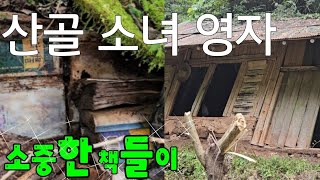 산골 소녀 영자 마당에서 소중한 책들이 꼼꼼히 숨겨 있어