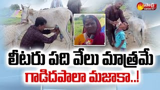 గాడిదపాలా మజాకా..! | Huge Demand For Donkey Milk | Donkey Milk Benefits | Sakshi TV