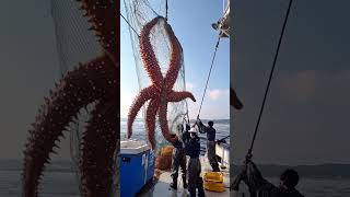 Caught On Camera Unusual Animal Encounters