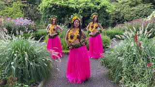 Hula dancers NY-NJ