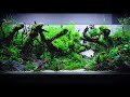 aquarium with relaxation music 2 hour cinematic fish tank asmr in 4k