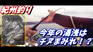 【紀州釣り】渡船屋さんも未経験の釣果！今年の湯浅はアタリ年！？【黒鯛釣り】【チヌ釣り】