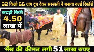 World Highest Milking Murrah Buffalo | Saraswati Milk - 32.066 Kg Per Day at PDFA | Sukhbir Dhanda