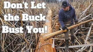 Creating a Deer Stand Access Trail in a Swamp- Summer Update