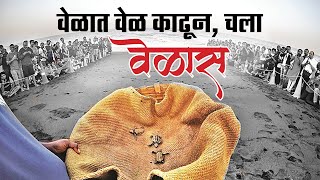 वेळात वेळ काढून चला वेळास । वेळास बीच । कासव महोत्सव । TURTLE FESTIVAL AT VELAS TURTLE BEACH 2024