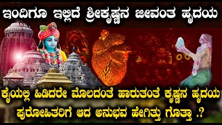 ಇಲ್ಲಿದೆ ಶ್ರೀಕೃಷ್ಣನ ಜೀವಂತ ಹೃದಯ | ಪ್ರತಿ 12 ವರ್ಷಗಳಿಗೊಮ್ಮೆ ನಡೆಯುತ್ತೆ ಪವಾಡ | jagannatha temple secrets