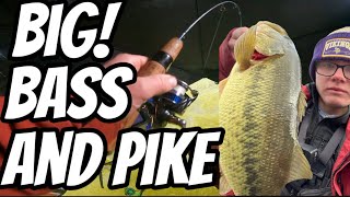 Fishing for BIG! METRO BASS and PIKE￼ (Central Minnesota)