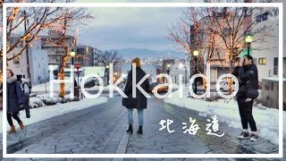 跟我一起滑雪去! 俯瞰函館百萬夜景 | 日本北海道六天自由行 Hokkaido travel in winter 2017