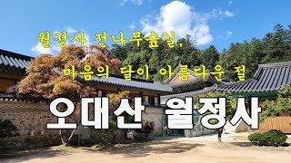 오대산 월정사 / 월정사 전나무숲길 / 마음의 달이 아름다운 절 #국보평창월정사팔각구층석탑 #윤장대