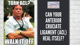 Can your Anterior Cruciate Ligament (ACL) heal itself?