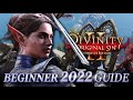 2022 Beginner's Guide For Divinity Original Sin 2 Definitive Edition