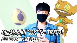 [포켓몬GO]10Km 알로 이로치 깜까미 저격하기 ∥ 8 Halloween 10K eggs[포켓몬고][Pokémon Go]