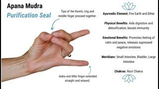 Apana Mudra for Digestive Health; Detoxification; Energy Flow; Negativity; Anxiety \u0026 StressReduction