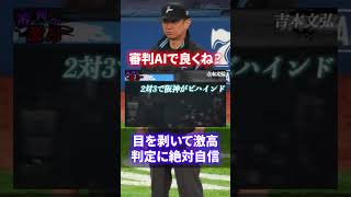 【総集編】もう審判てAIでよくね？とんでもない大誤審から白井の乱まで！プロ野球審判がらみのヤバい事件をまとめてみました