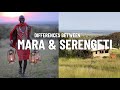 Where to Go on an African Safari - Masai Mara vs Serengeti