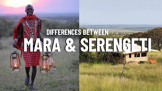 Where to Go on an African Safari - Masai Mara vs Serengeti