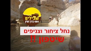 שיטפון בנחל ציחור