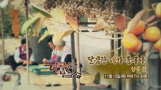 151112 한국인의밥상 예고 ㅣ KBS방송