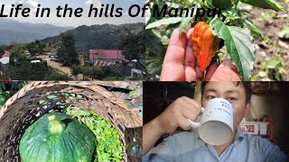 LIFE IN THE HILLS OF MANIPUR!!मनीपुर कि पहाड़ो की जिंदगी!!