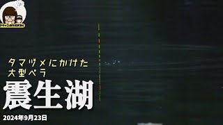 納得の一枚❗️このサイズなら魚が回遊するまで待ってられる