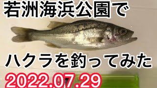 渋い朝まずめの中、ハクラを釣ってみた‼️アイツのせいで釣れない⁉️今年の若洲はおかしいぞ…若洲海浜公園編Part14