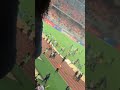 fight break out in the field as cameroon lost to egypt