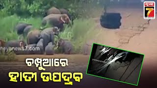 ଚମ୍ପୁଆରେ ହାତୀ ଉପଦ୍ରଵ | Elephants Create Terror In Champua | PrameyaNews7