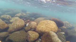 Underwater Video of Piyain River