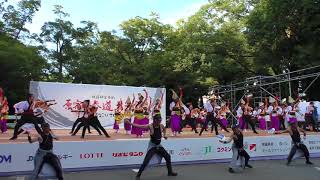 原宿表参道元気祭 スーパーよさこい2018～帯屋町筋～（19/23）