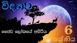 Grade 6 Science  Sinhala Medium Lesson 1 ජෛව ලෝකයේ අසිරිය