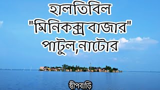 হালতি বিলের প্রামাণ্যচিত্র | The Scenic beauty of Haltibeel | Documentary Video |