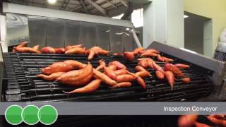 Wyma Solutions Sweet Potato Wash Line - Kaipara Kumara