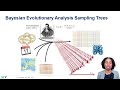 Phylodynamics 101: Bayesian Analysis Molecular Sequences