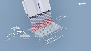 384 wells in a minute? No problem. Precise and fast usage of 16- \u0026 24-channel Eppendorf pipettes