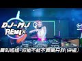 莫叫姐姐 你能不能不要离开我 dj mj techno remix 快摇【你能不能不要離開我我受不了思念的折磨】 🔥🔥