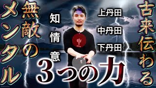 古来伝わる無敵のメンタル・3つの力｜知情意・上丹田・中丹田・下丹田【身体開発・フィジカリストOuJi】