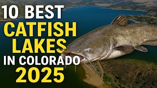 Colorado’s Catfish Hotspots Top 10 Lakes 2025