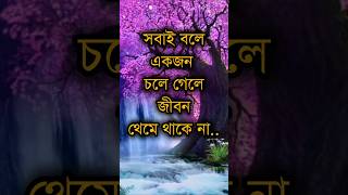 সবাই বলে একজন চলে গেলে জীবন থেমে থাকেনা, কিন্তু সত্যিটা হল.. 😭 #shorts