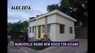 Mangoville Brand New House for Assume | Alex Zeta