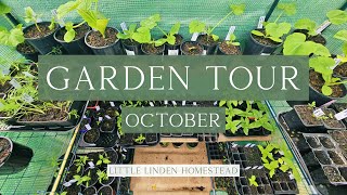 Garden Tour🌱 | October 2024