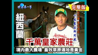 【紐西蘭】只由 7 人管理的千萬皇家牧場（百萬名駒馬廄／愛哥頓牧羊犬、剃羊毛秀／精釀葡萄酒／陶波高空彈跳）｜《世界第一等》50集小馬完整版