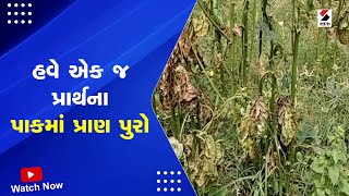 Detroj News : હવે એક જ પ્રાર્થના પાકમાં પ્રાણ પુરો | Farmers Rain Issue | Gujarat Monsoon | Rains